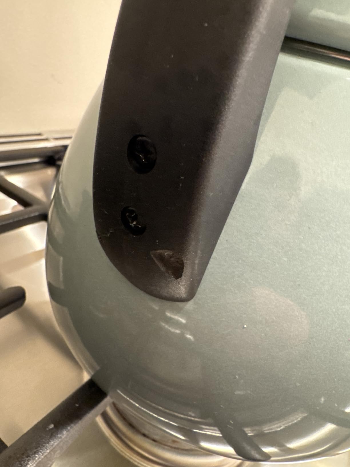 Gorgeous kettle