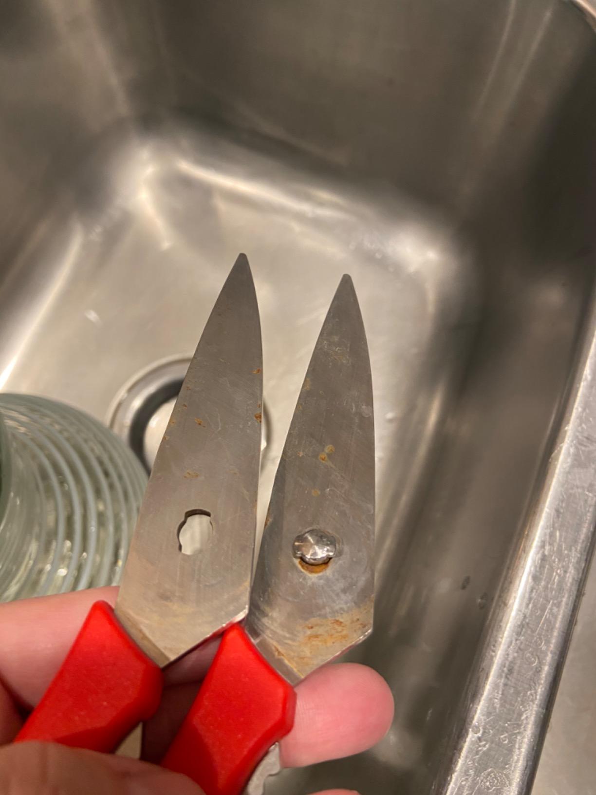Best kitchen scissors