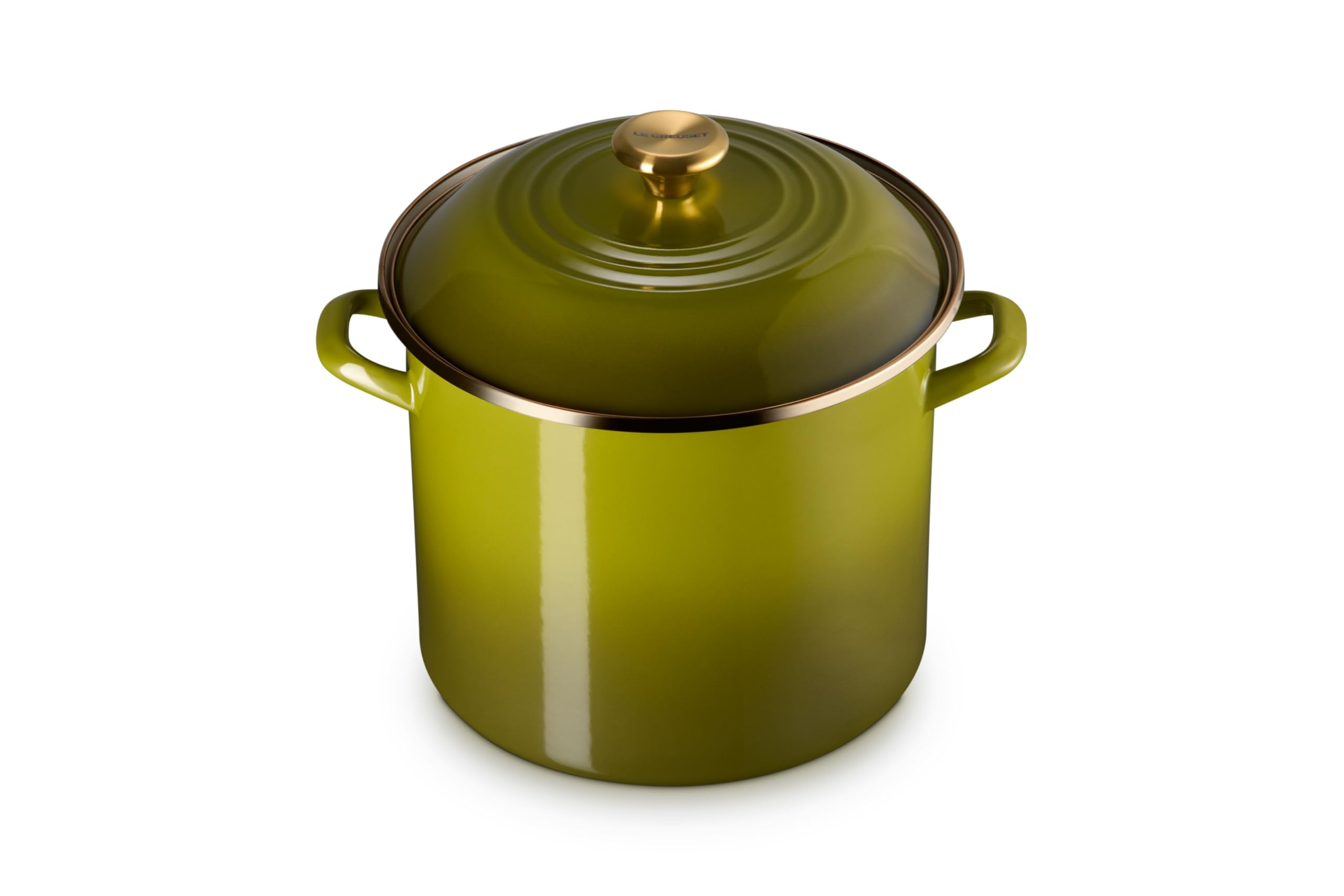le-creuset-enamel-on-steel-traditional-stockpot-12-qt-olive image 1