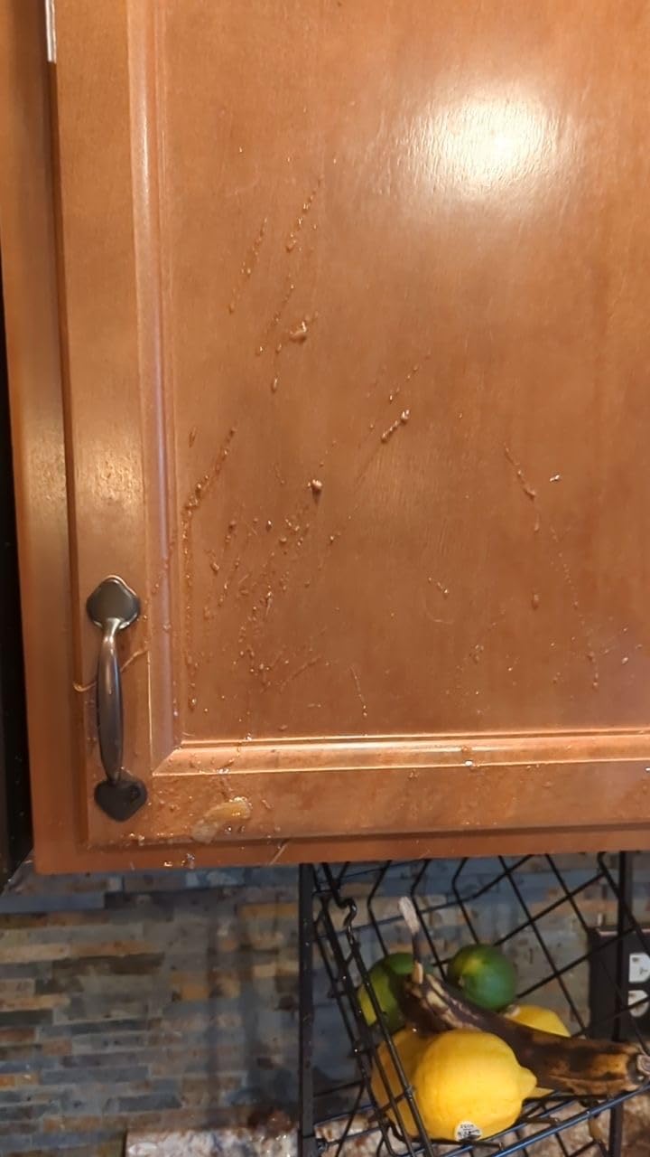 Handy little cooker