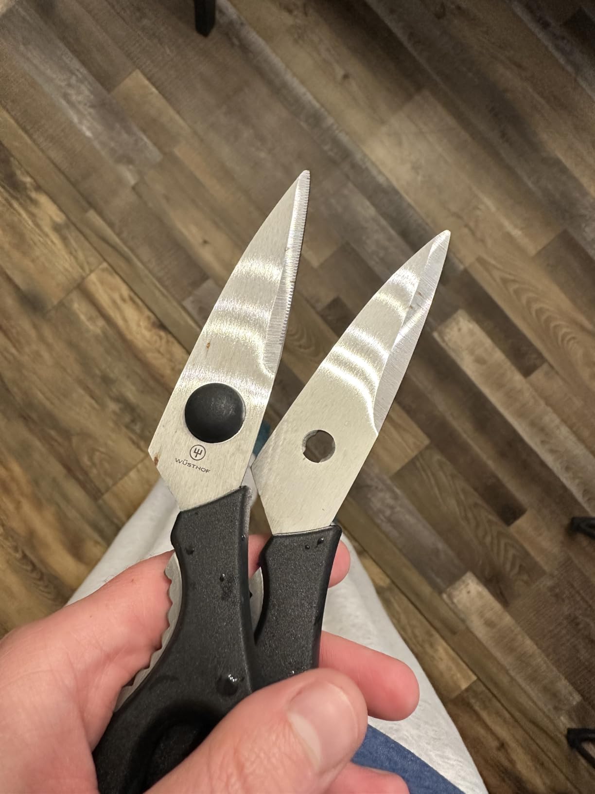 Kitchen staple