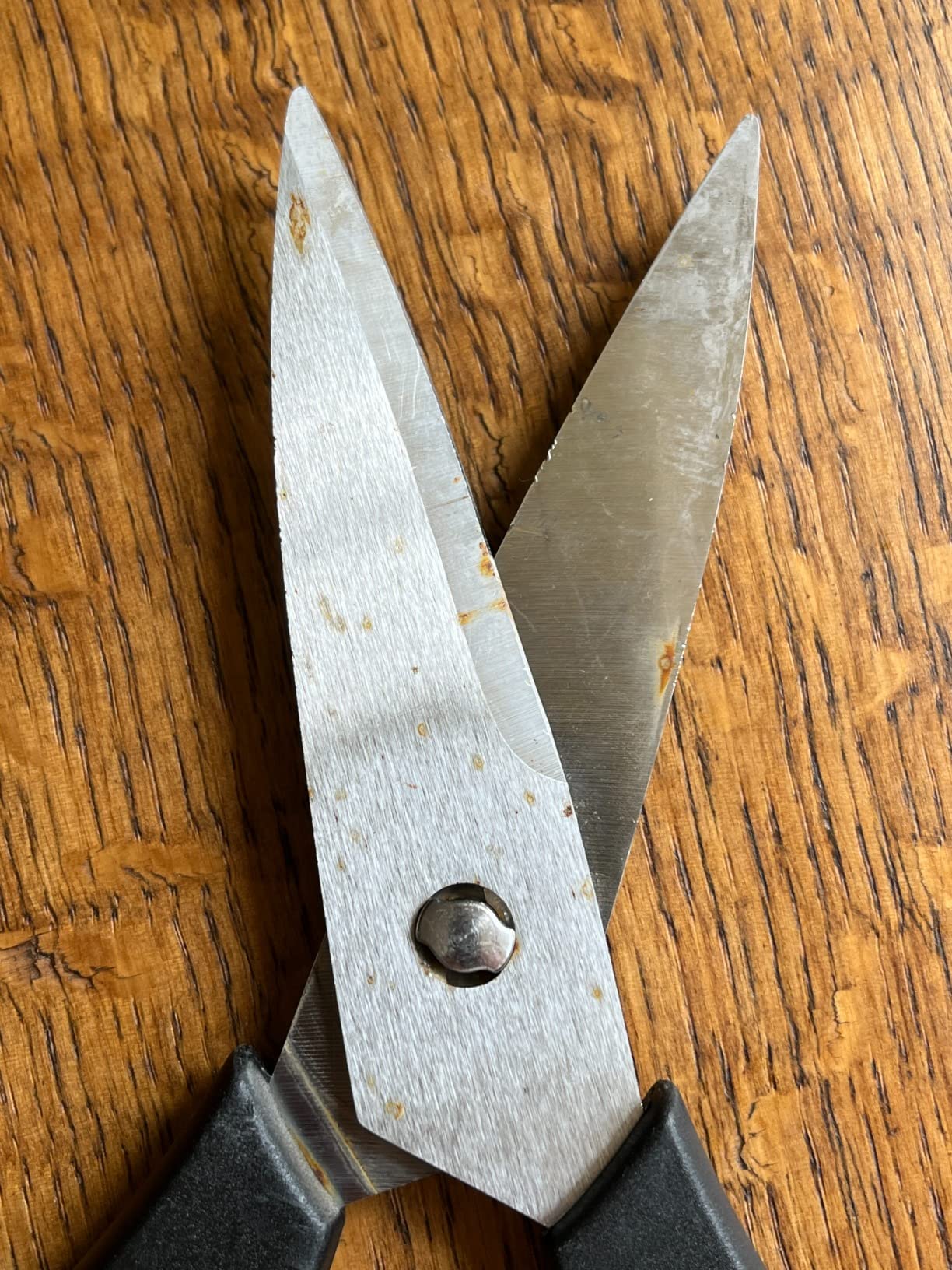 Sharp and sturdy