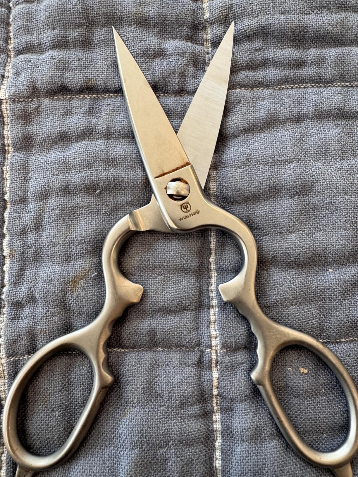 Great shears but a bit heavy
